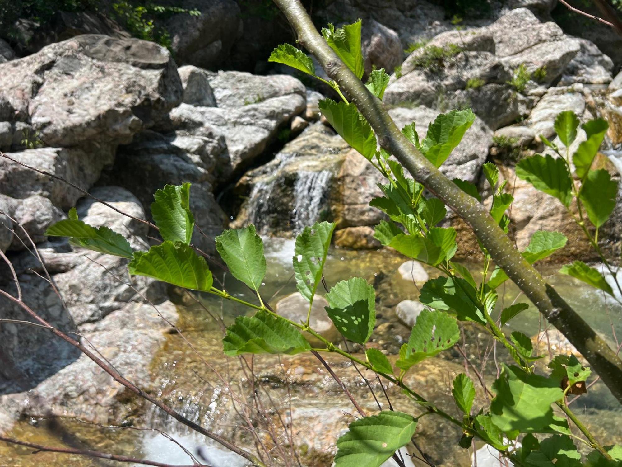 Baven -Toven Naturae Rubik Buitenkant foto