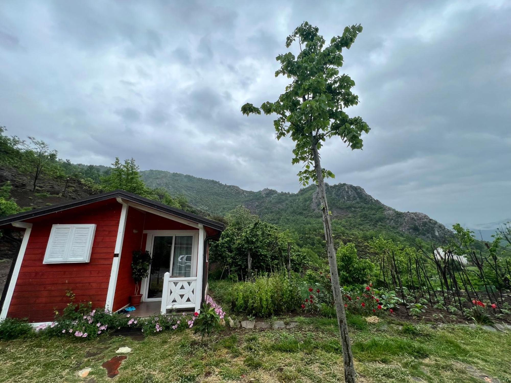 Baven -Toven Naturae Rubik Buitenkant foto